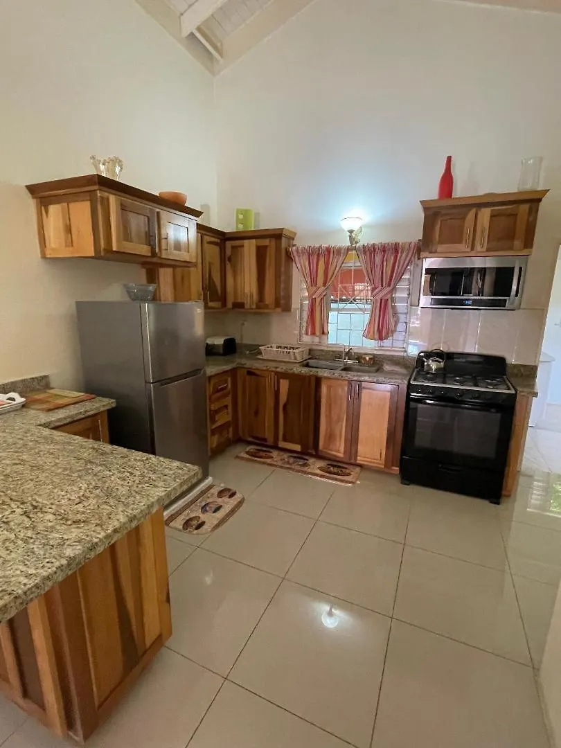 Virgos Villa - Ac Pool Wifi Smarttv Gym Ocho Rios