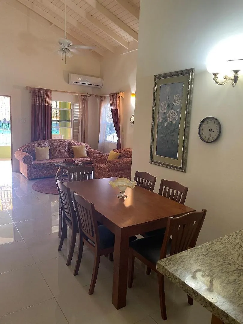 Apartment Virgos Villa - Ac Pool Wifi Smarttv Gym Ocho Rios