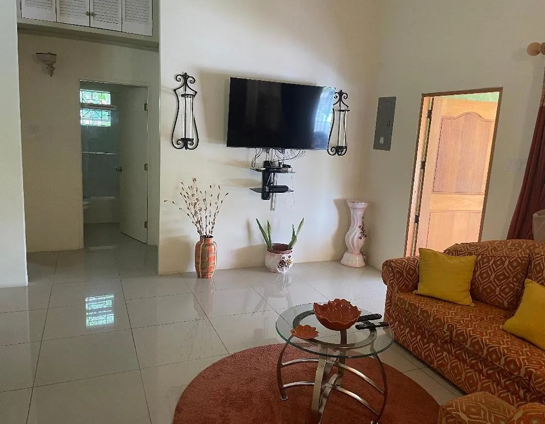 Virgos Villa - Ac Pool Wifi Smarttv Gym Ocho Rios 0*,  Jamaica