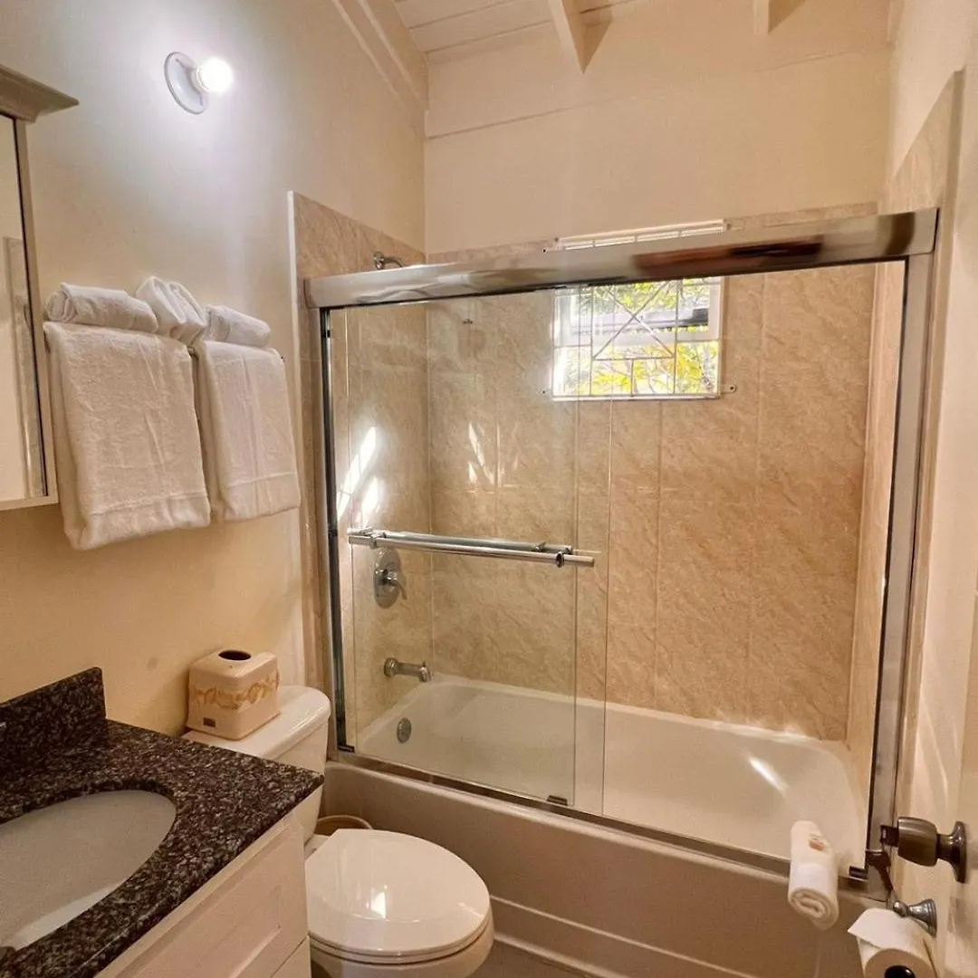 Virgos Villa - Ac Pool Wifi Smarttv Gym Ocho Rios Jamaica